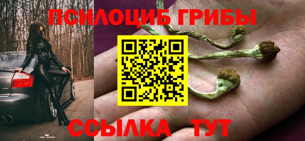 Галлюциногенные грибы Psilocybine cubensis Похвистнево