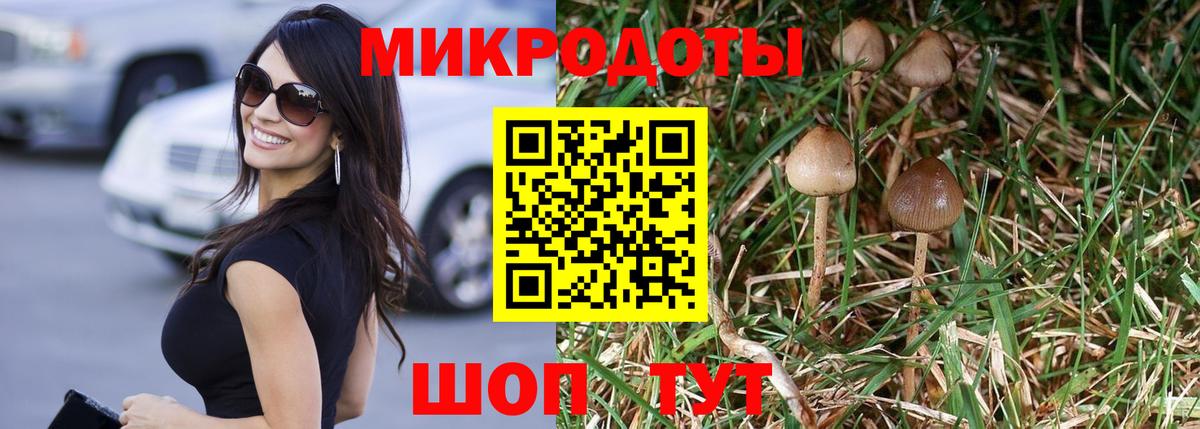 Псилоцибиновые грибы Cubensis  Вход с VPN  Похвистнево 